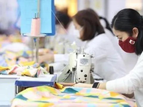 Doanh nghiệp trong vòng xoáy nợ nần
