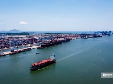 Các doanh nghiệp họ "Tân Cảng" làm ăn thế nào trong quý đầu năm?