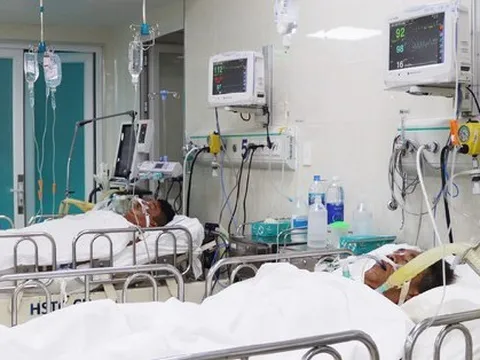 Bố tử vong, 2 con nguy kịch sau cuộc nhậu rượu ngâm