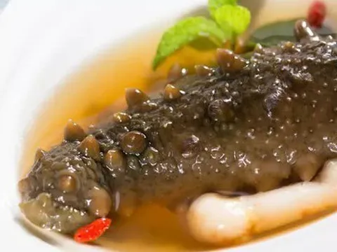 Loại động vật xấu xí được ví là “nhân sâm của biển cả”, bổ tim gan lại ngừa cả ung thư