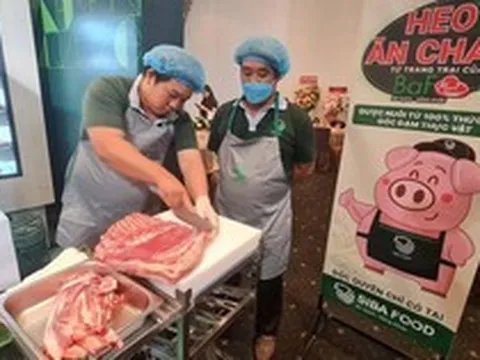 Đàn heo ăn chay và nỗ lực "rũ bùn đứng dậy" của đại gia Trương Sỹ Bá