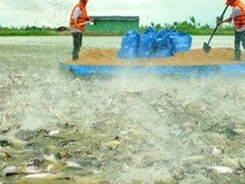 Tới năm 2050, Việt Nam mất 8% GDP do biến đổi khí hậu
