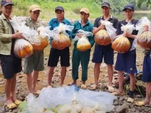 Cũng bán mật ong, nhóm người này chọn cách băng rừng, vượt thác lên thượng nguồn sông Đà để lấy được vài lít mật ong quý giá