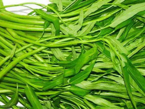 Ăn rau muống nhiều nhưng ít ai biết loại rau này có chất là "khắc tinh" của ung thư