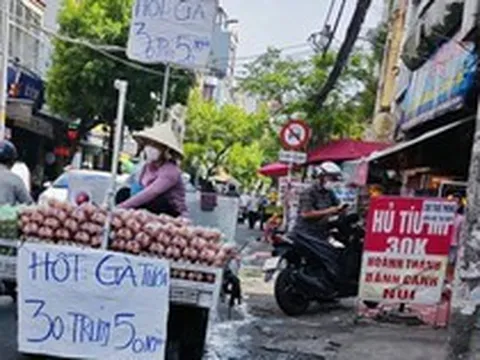 Lo phá sản, ngành chăn nuôi gia cầm kêu cứu Thủ tướng