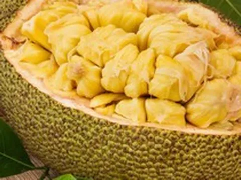 Loại trái cây được mệnh danh là "quả thần", có thể cứu sống con người: Nhiều nước vứt đi, Việt Nam vô cùng ưa chuộng