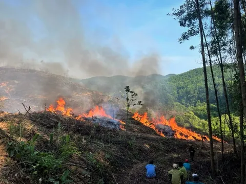 Nhiều hecta rừng ở Quảng Trị chìm trong biển lửa
