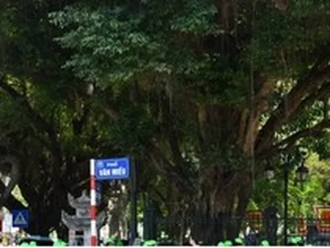 Người dân mong gì ở 3 tuyến phố dự kiến trở thành phố đi bộ mới tại Hà Nội?