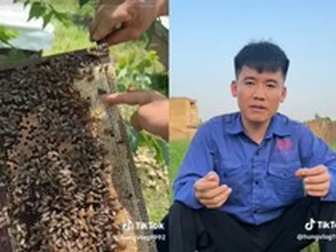 Con trai bà Tân Vlog lên tiếng đính chính: Khẳng định mật ong mình bán 100% nguyên chất, xóa video chỉ để 'Tóp tóp' không bóp tương tác