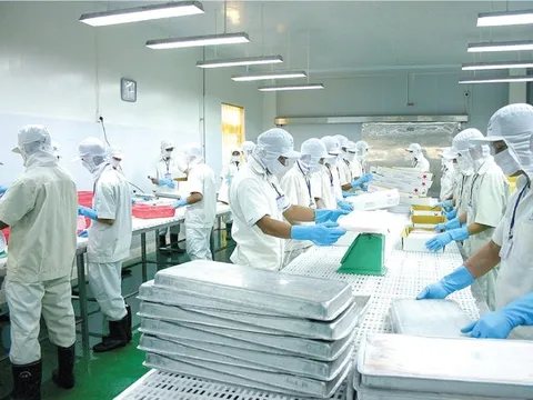 "Làn sóng" mua bán cổ phiếu tại gia đình Chủ tịch Thủy sản Cửu Long An Giang