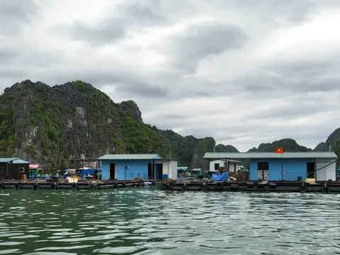 Hải Phòng: Các hộ nuôi cá khốn khổ vì lồng bè đóng bằng nhựa HDPE