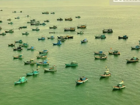 Kiên Giang: Chủ tịch UBND tỉnh tự kiểm điểm vì để tàu cá vi phạm IUU