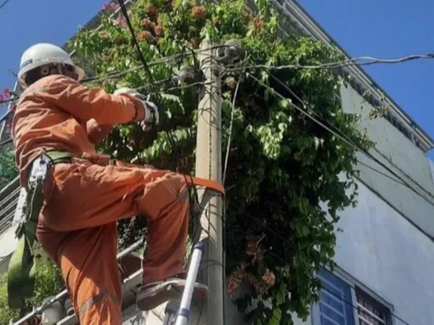 TP HCM: Đề nghị hạn chế ngừng, giảm cung cấp điện vào ban đêm và cao điểm nắng nóng