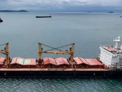 Giá lúa mì thế giới tiếp tục giảm