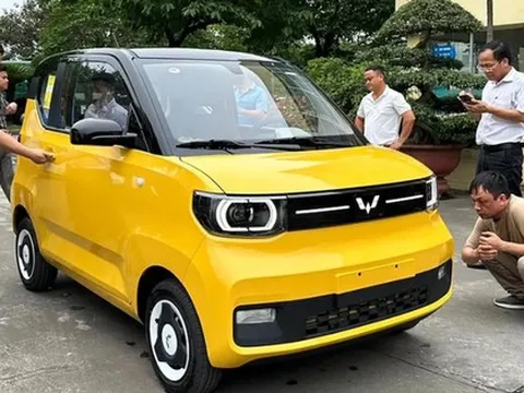 Xe điện đang lắp ráp tại Việt Nam, giá dưới 300 triệu: Bạn quan tâm không?