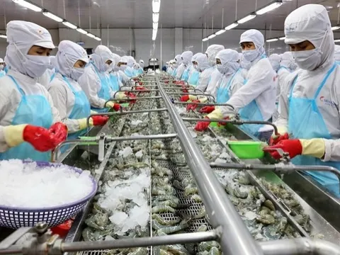 Lỗ nặng nhất sàn chứng khoán, ai là chủ nợ lớn nhất của Thuỷ sản số 4?