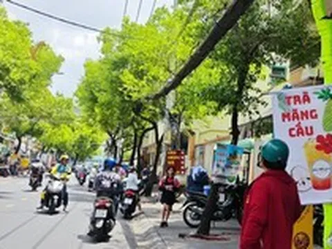 Đến lượt mãng cầu xiêm tăng giá nóng vì cơn sốt trà mãng cầu