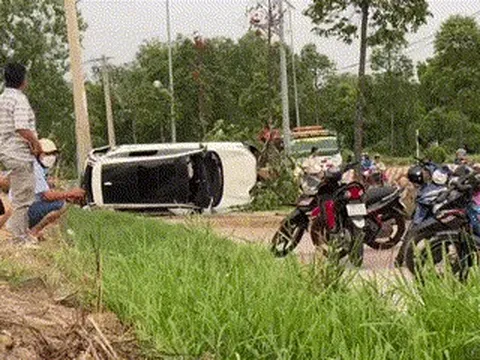 Ôtô lao lên vỉa hè, tông cây xanh bật gốc rồi nhào lộn