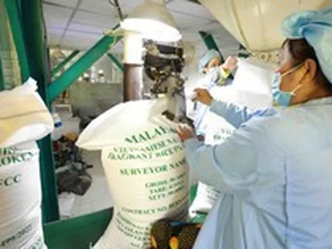 Điểm sáng về xuất khẩu