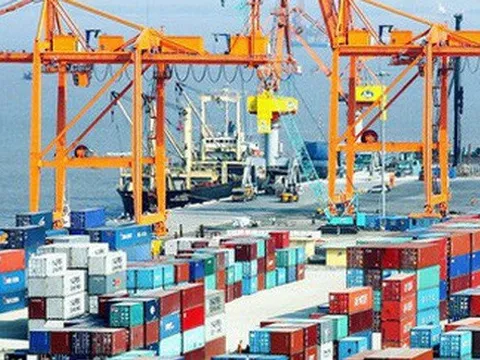 Hàng container qua cảng biển tăng gần gấp đôi sau 7 năm