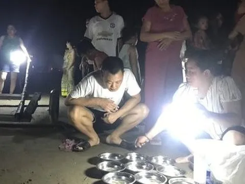 Mực nháy bật tanh tách, “cháy hàng” ngay lúc vào bờ