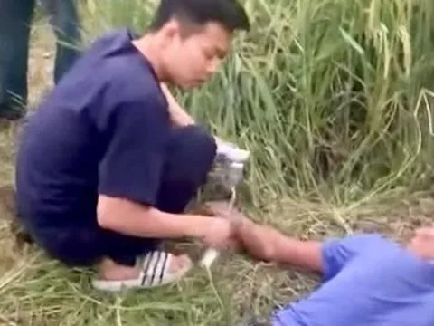 Gặt lúa giữa trời nóng trên 40 độ C, người đàn ông đột ngột ngất xỉu, co giật