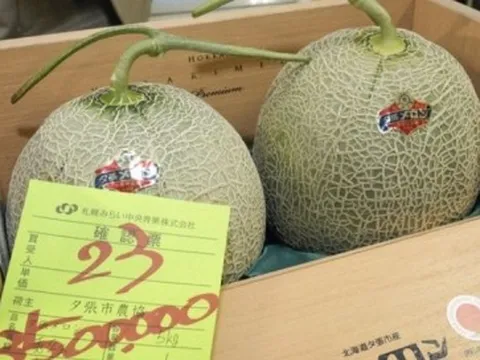 Cặp dưa lưới Nhật Bản giá gần 600 triệu đồng