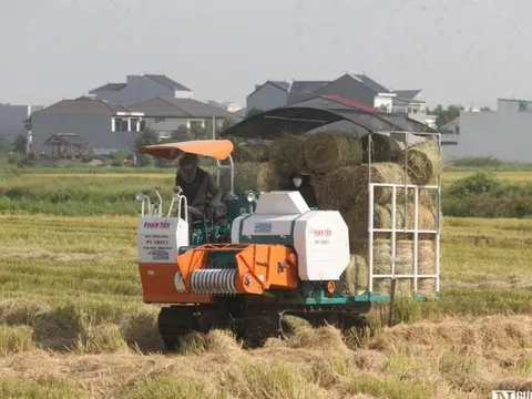 Vật vã gom rơm dưới nắng 40 độ C, nông dân bỏ túi hàng trăm triệu đồng