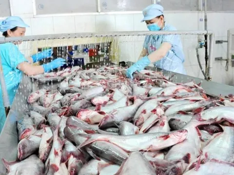 Xuất khẩu cá tra 4 tháng đầu năm 2023 tăng trưởng âm nhiều thị trường