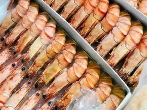 VASEP: Giá tôm nguyên liệu giảm, xuất khẩu chưa khả quan hơn