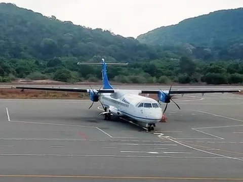 Gia tăng vụ việc chim và động vật hoang dã uy hiếp an toàn bay tại Côn Đảo