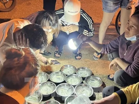 Khám phá phiên chợ bán mực nháy ở Cửa Lò giữa đêm hút người mua