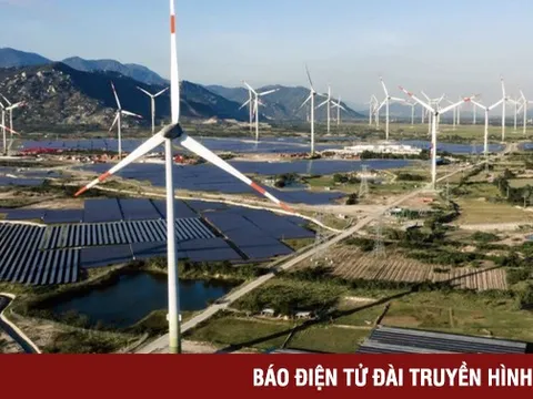 ĐBQH: 4.600 MW điện gió, mặt trời không được lên lưới, tại sao lại nhập khẩu điện?