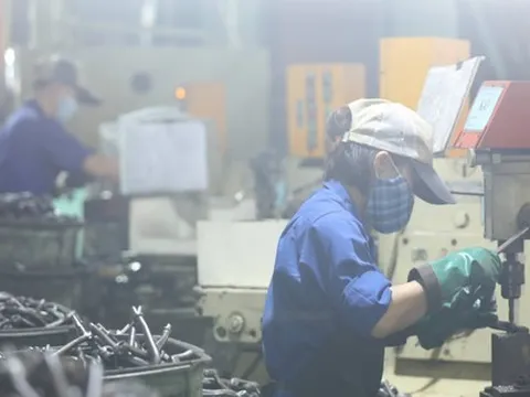 Báo cáo Thủ tướng việc hàng loạt nghiệp chờ đóng cửa