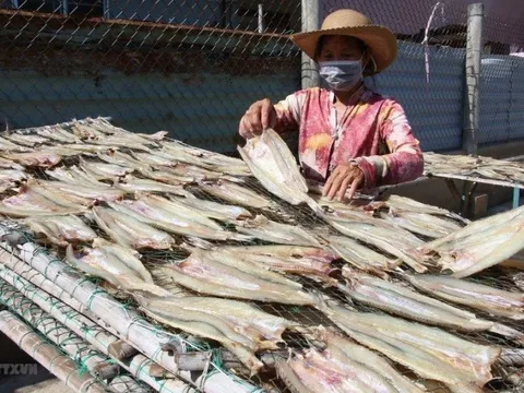 Cá khô, cá hộp trở thành "ngôi sao sáng" trong xuất khẩu, mang về hàng chục triệu USD