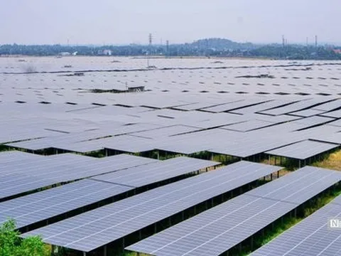 Khẩn trương đàm phán giá tạm thời cho điện gió, mặt trời trước 27/5