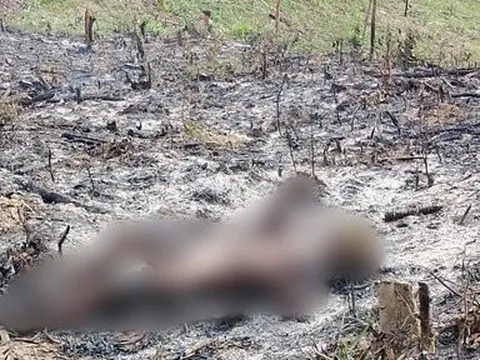 Quảng Bình: Phát hiện thi thể người đàn ông bị cháy đen