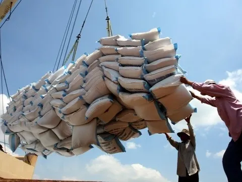 Chiến lược xuất khẩu gạo Việt Nam: Tăng giá trị, giảm khối lượng