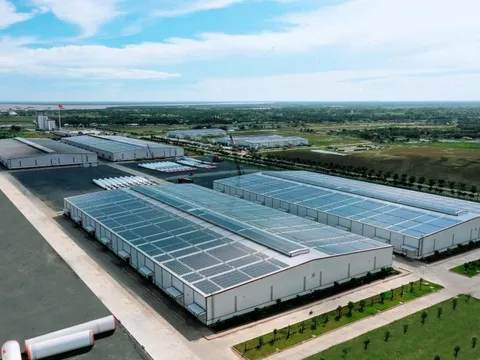 Điện nhập khẩu chỉ chiếm tỉ trọng nhỏ