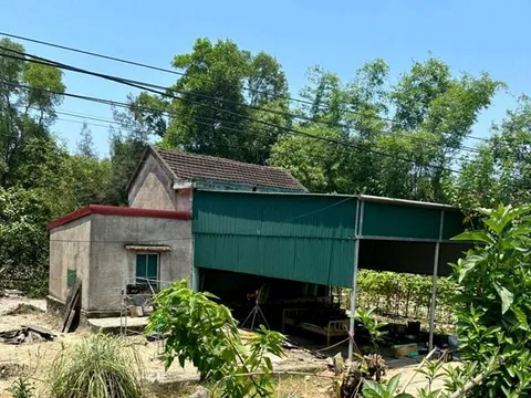 Phát hiện 2 mẹ con tử vong bất thường tại nhà riêng