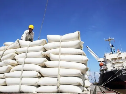 Doanh nghiệp ngành gạo dự phòng tồn kho bao nhiêu trước thuận lợi lớn?