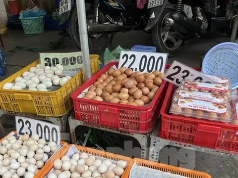 Trứng gà rẻ chưa từng có