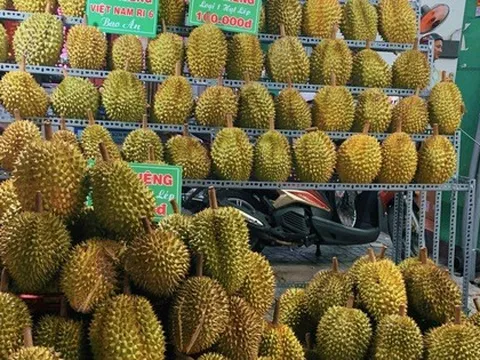 Sầu riêng ế khách, bán cả ngày chỉ có vài người hỏi mua