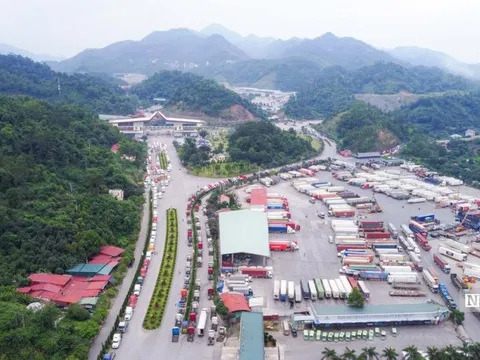 Sầu riêng dồn lên cửa khẩu, Lạng Sơn tăng cường giải pháp chống ùn ứ