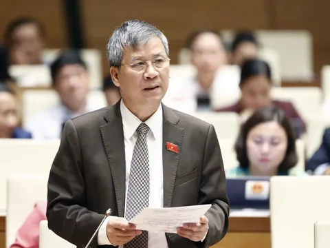 Đại biểu Nguyễn Anh Trí: Xem xét có lý có tình những sai sót trong chống dịch COVID-19