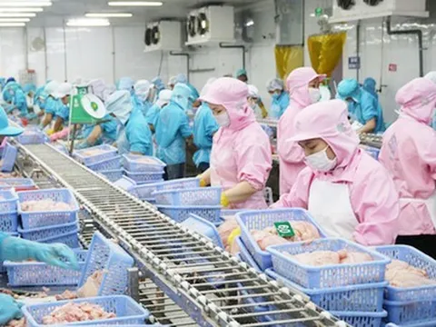 Những mặt hàng kéo tụt kim ngạch xuất khẩu nông, lâm, thủy sản Việt Nam