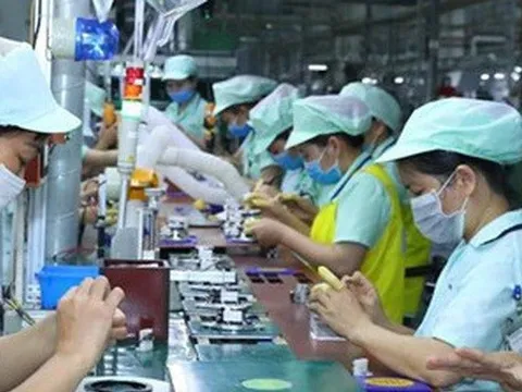 60% doanh nghiệp bán lẻ Nhật Bản sẽ mở rộng kinh doanh tại Việt Nam