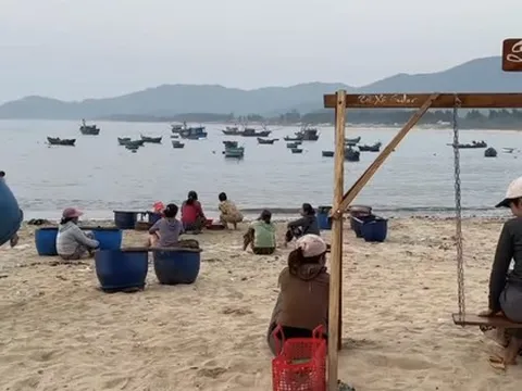 Bình Định thông tin về chủ trương siêu dự án gang thép gần 2,6 tỉ USD