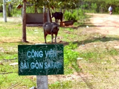 Chọn dược nhà thầu gói thiết bị liên quan dự án Công viên Sài Gòn Safari