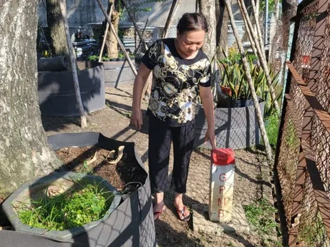 Bình Dương khẩn trương với dự án Vành đai 3